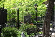 Tribeca Neighborhood 11